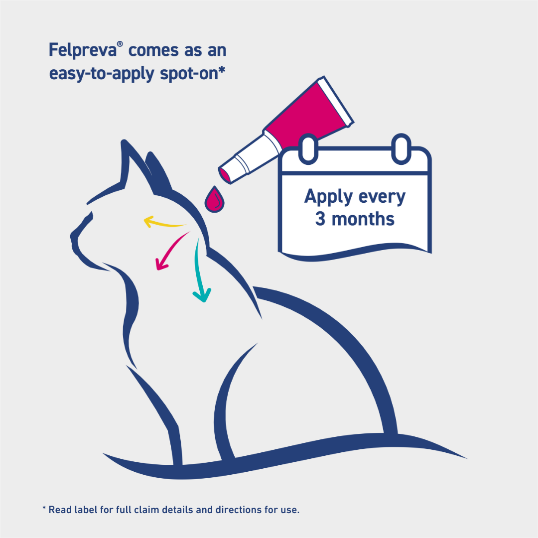 Felpreva Spot On Solution for Large Cats 5-8kg