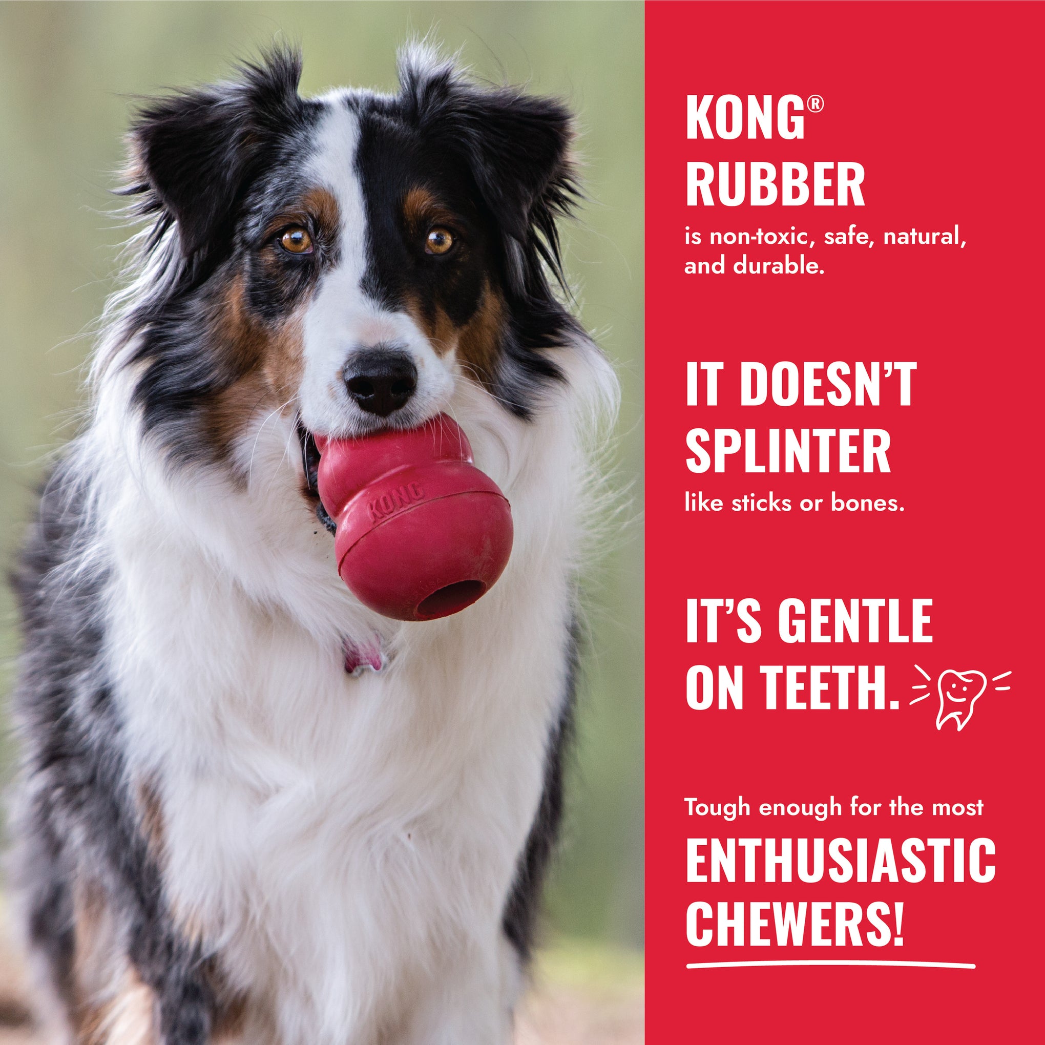 KONG Classic Dog Toy