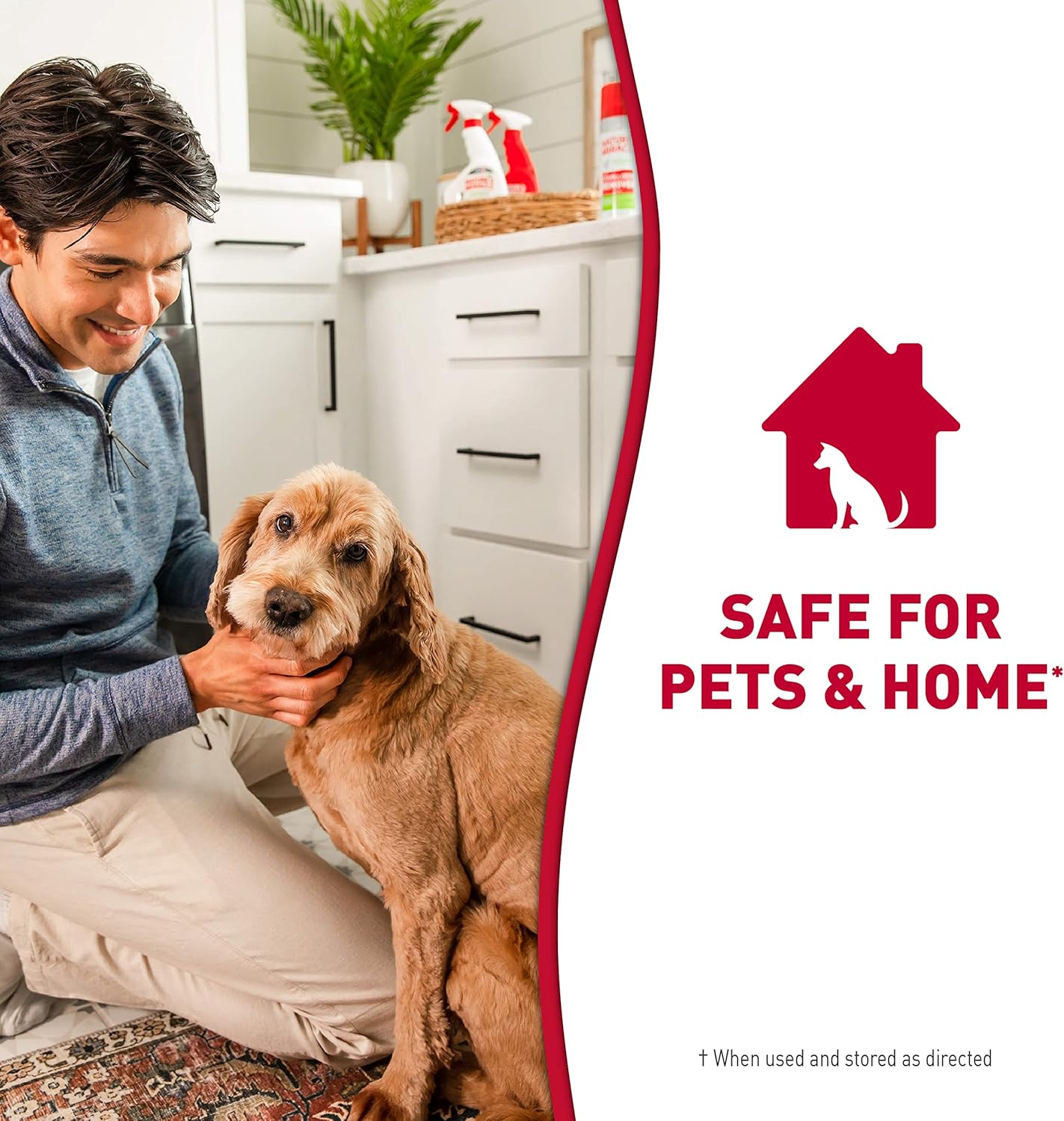 Nature's Miracle Dog Stain and Odour Remover 946ml