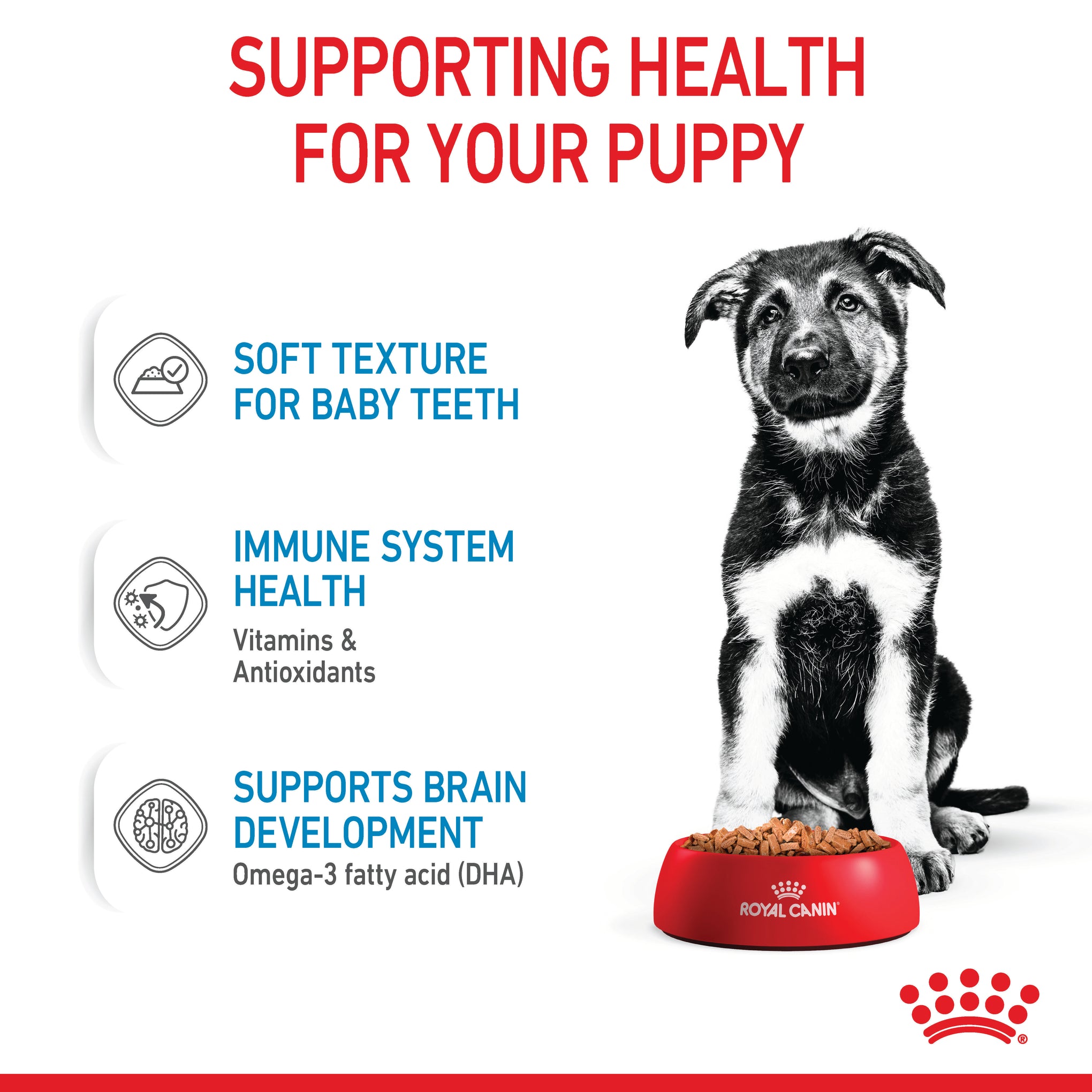 Royal Canin Maxi Puppy Wet Dog Food Pouches 140g x 10