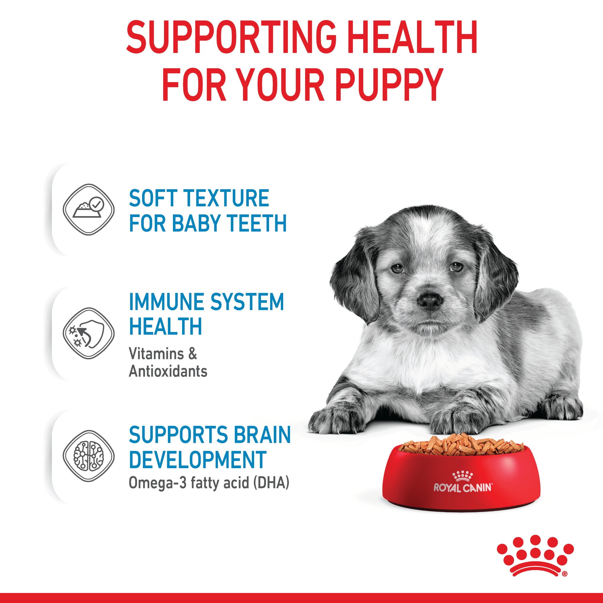 Royal Canin Medium Puppy Wet Dog Food Pouches 140g x 10