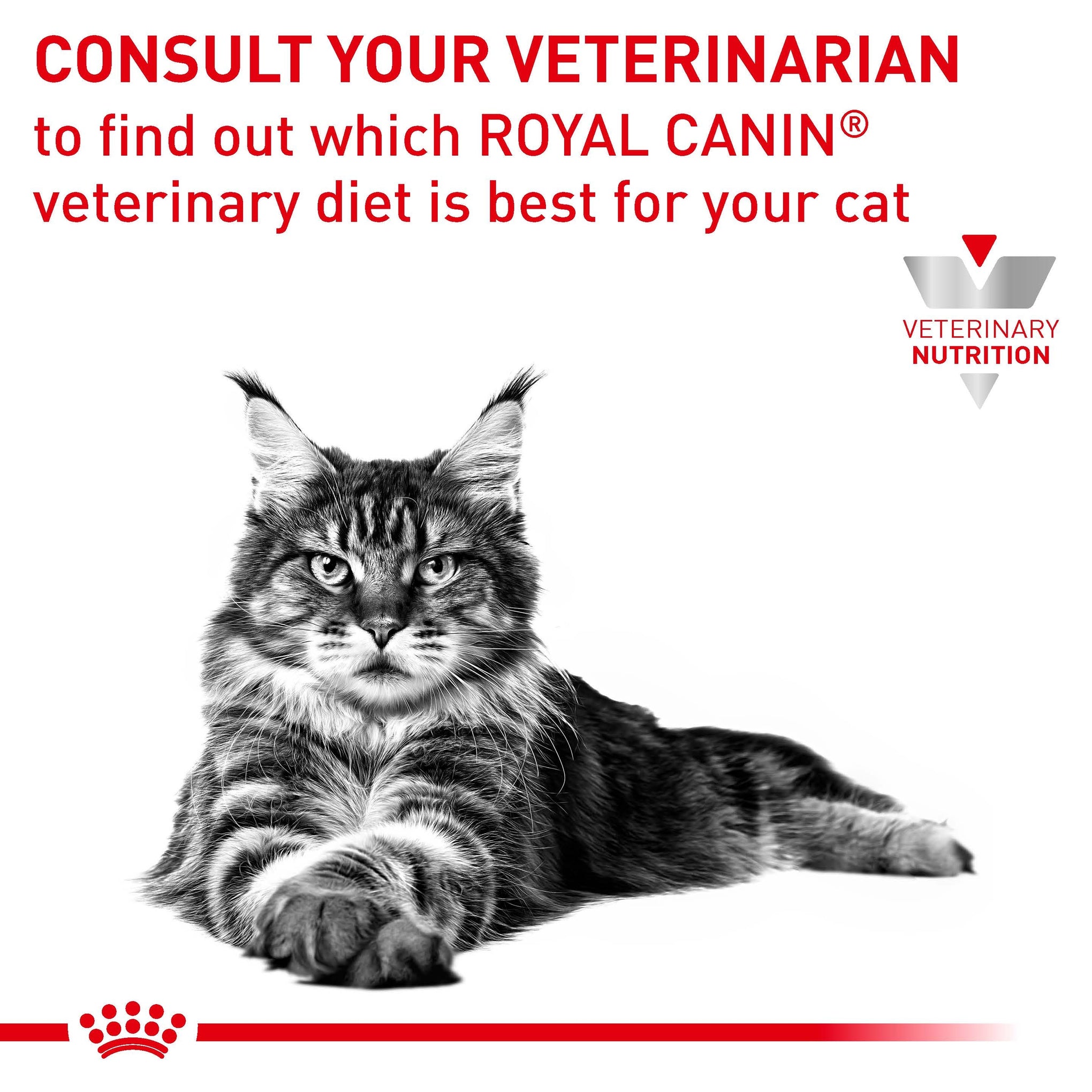 Royal Canin Veterinary Diet Gastrointestinal Adult Wet Cat Food 85g x 12