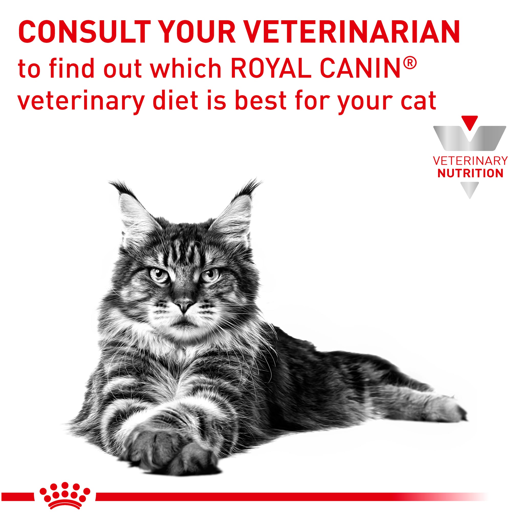 Royal Canin Veterinary Diet Renal Adult Dry Cat Food