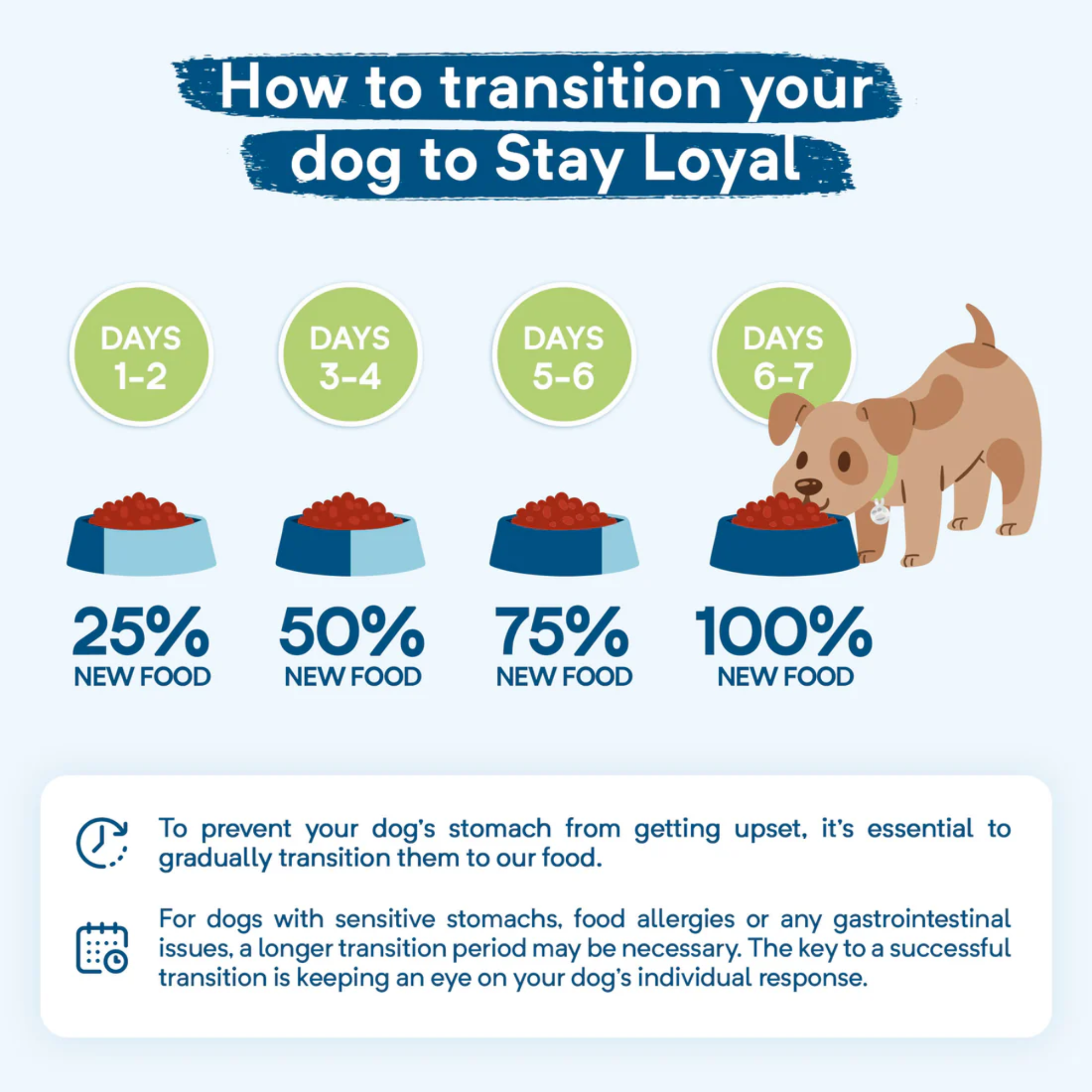 Stay Loyal Premium Original Chicken Lamb & Fish Grain Free Dry Dog Food