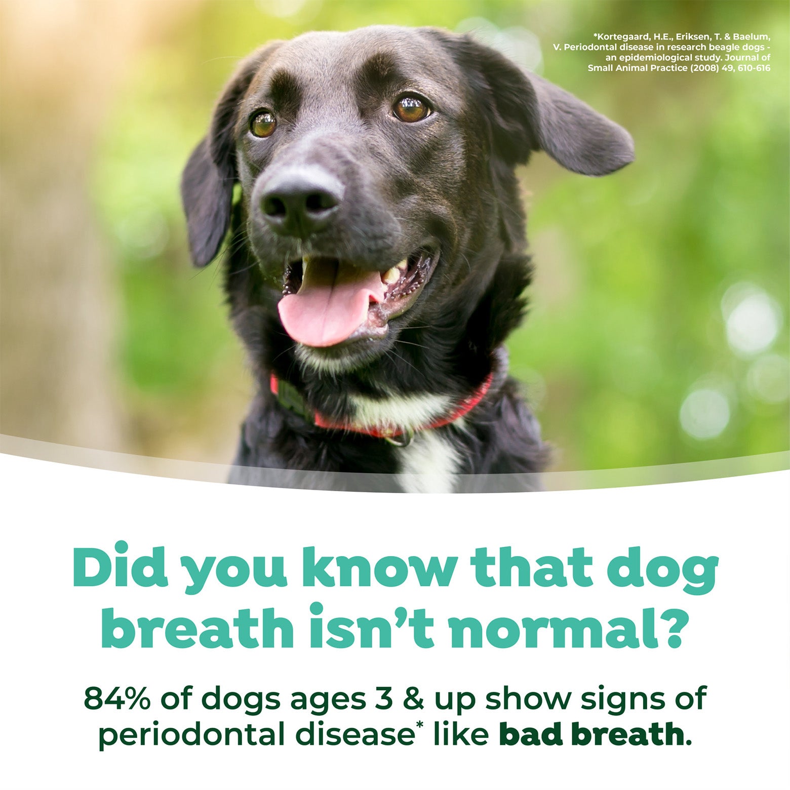 TropiClean Fresh Breath Dental Water Additive Skin & Coat 473ml