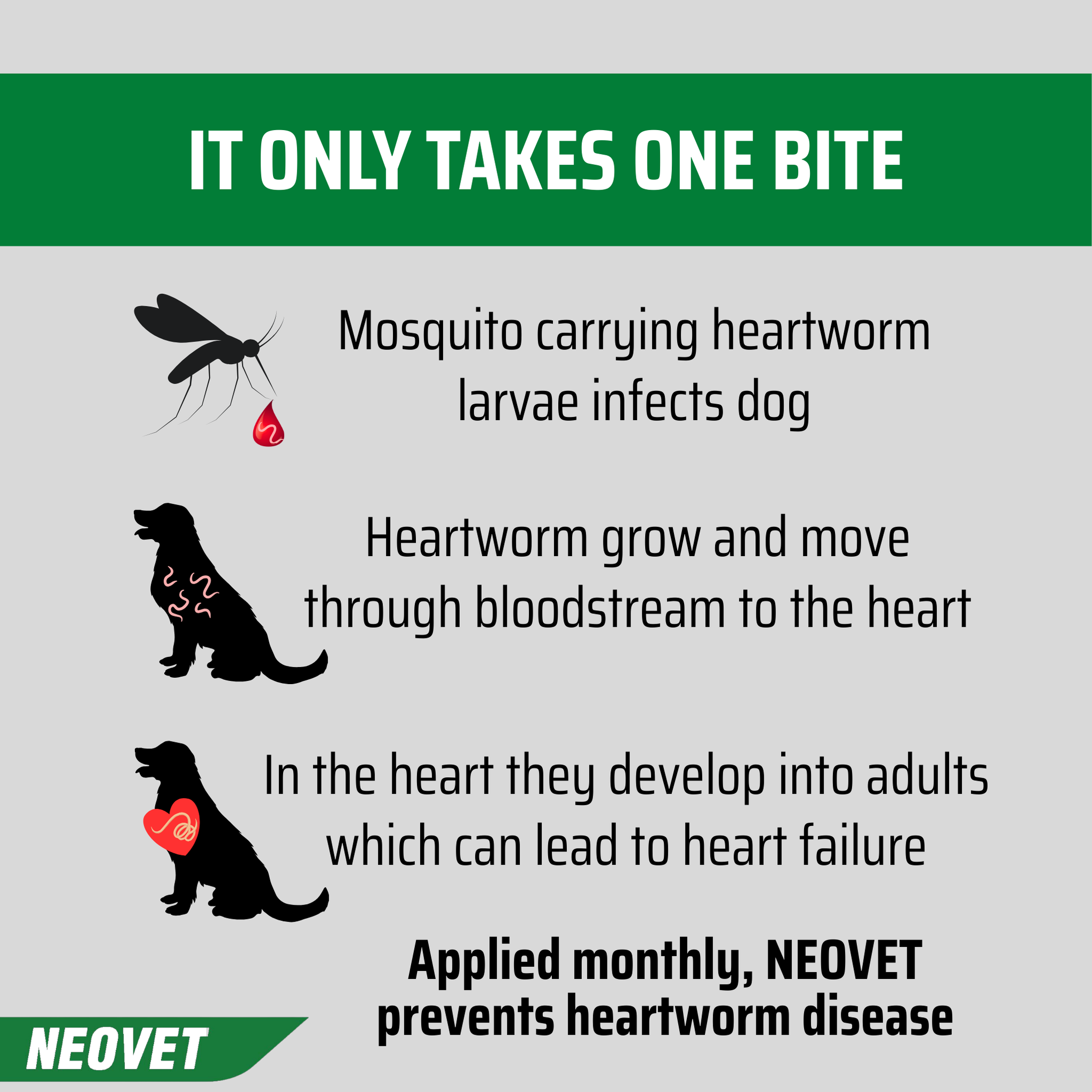 Neovet for Dogs 4-10kg