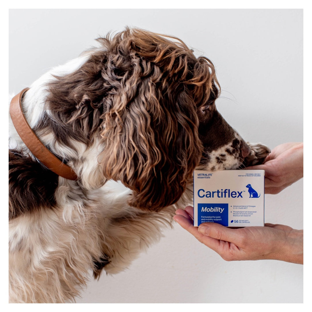 Cartiflex Joint Mobility Support Capsules for Dogs 300mg 56 Pack