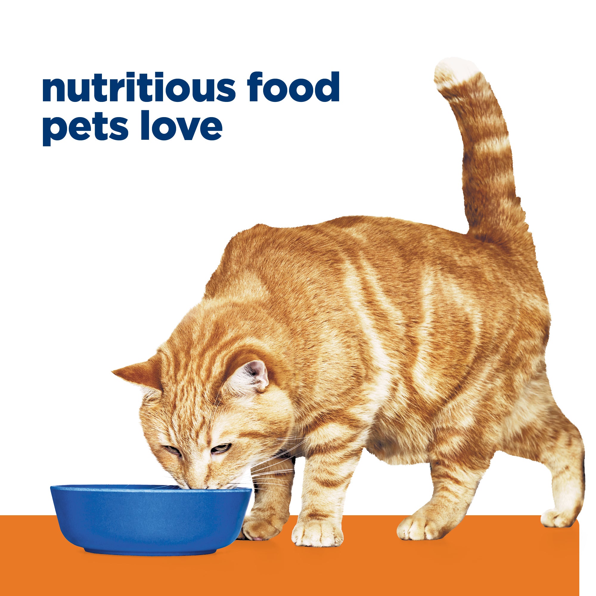 Hill's Prescription Diet c/d Multicare Urinary Care Chicken & Vegetable Stew Canned Cat Food 82g x 24