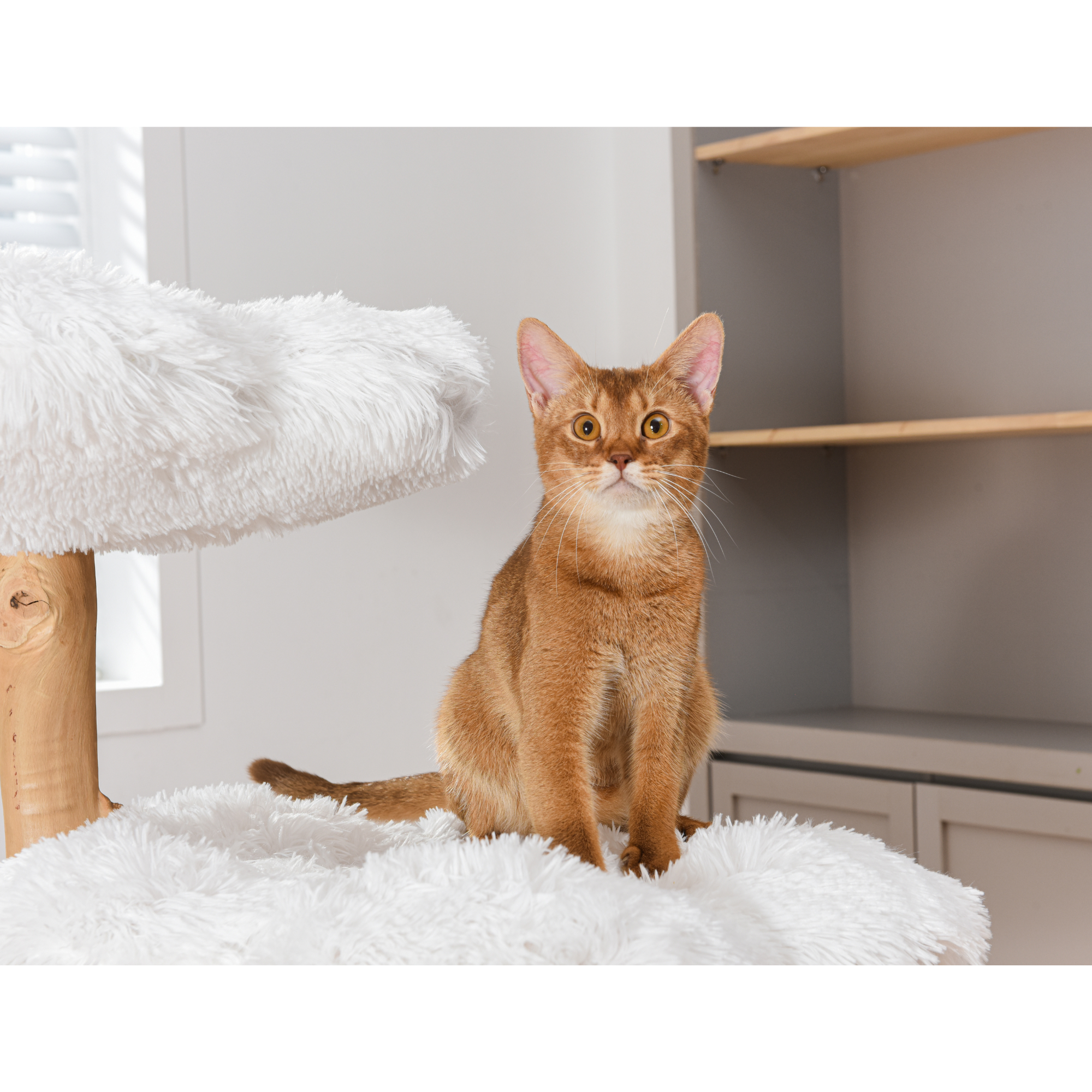 Michu Fluffy Blossom Real Wooden Cat Tree Extra Large