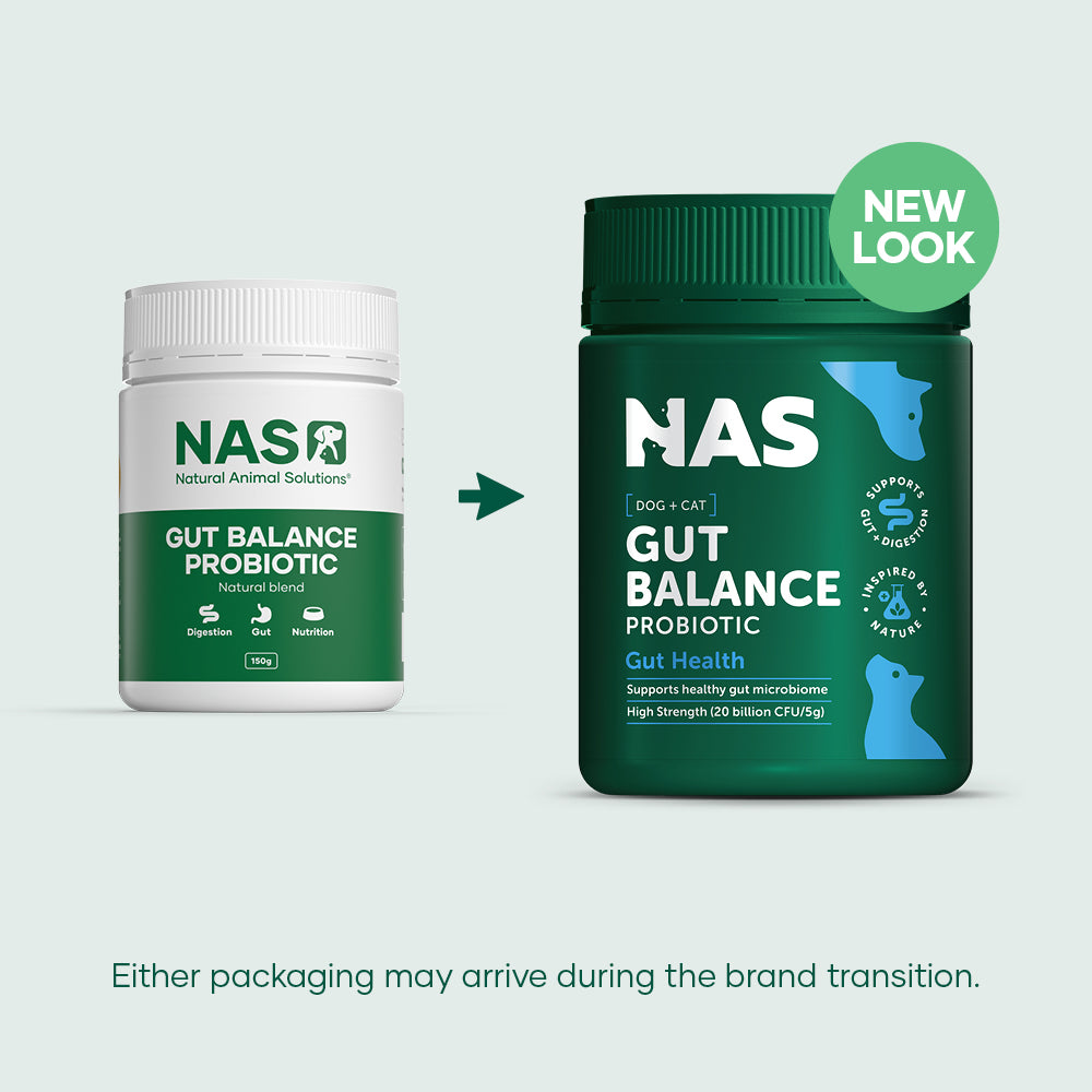 Natural Animal Solutions Gut Balance ProBiotic Natural Blend for Dogs and Cats