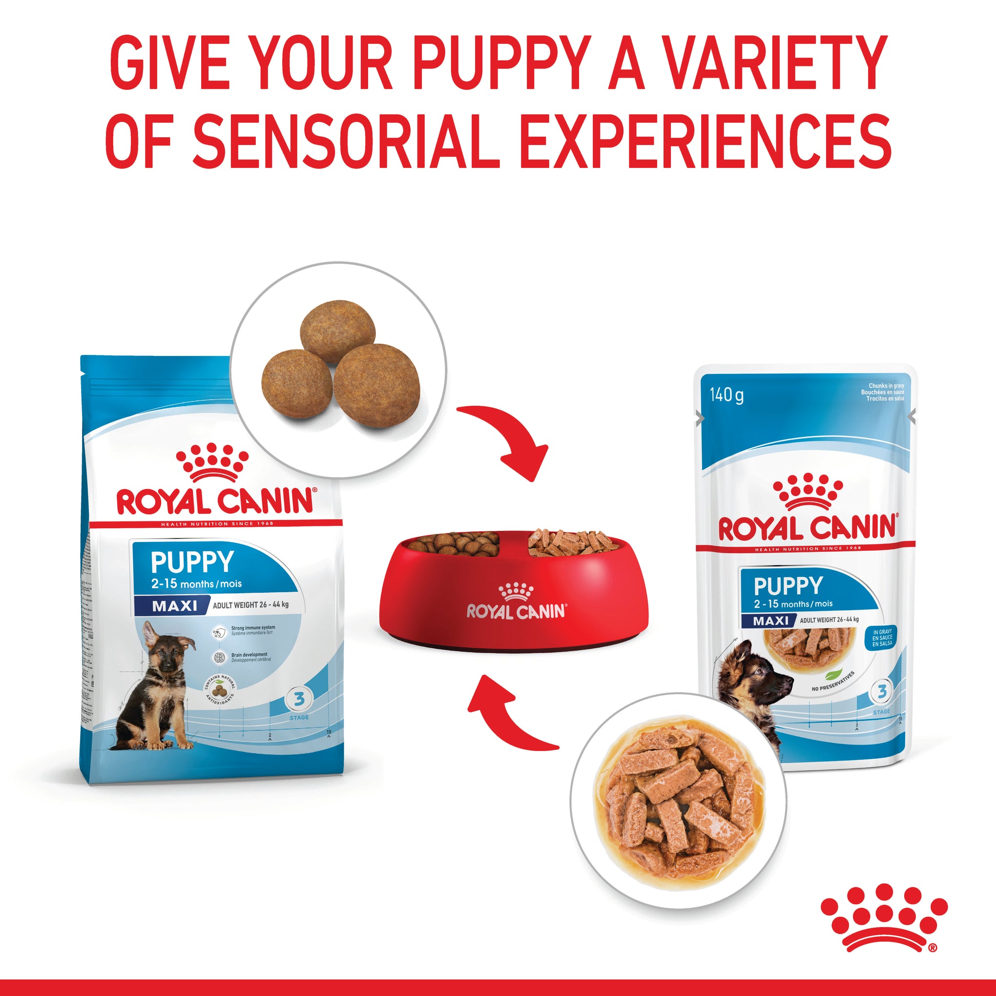 Royal Canin Maxi Puppy Wet Dog Food Pouches 140g x 10