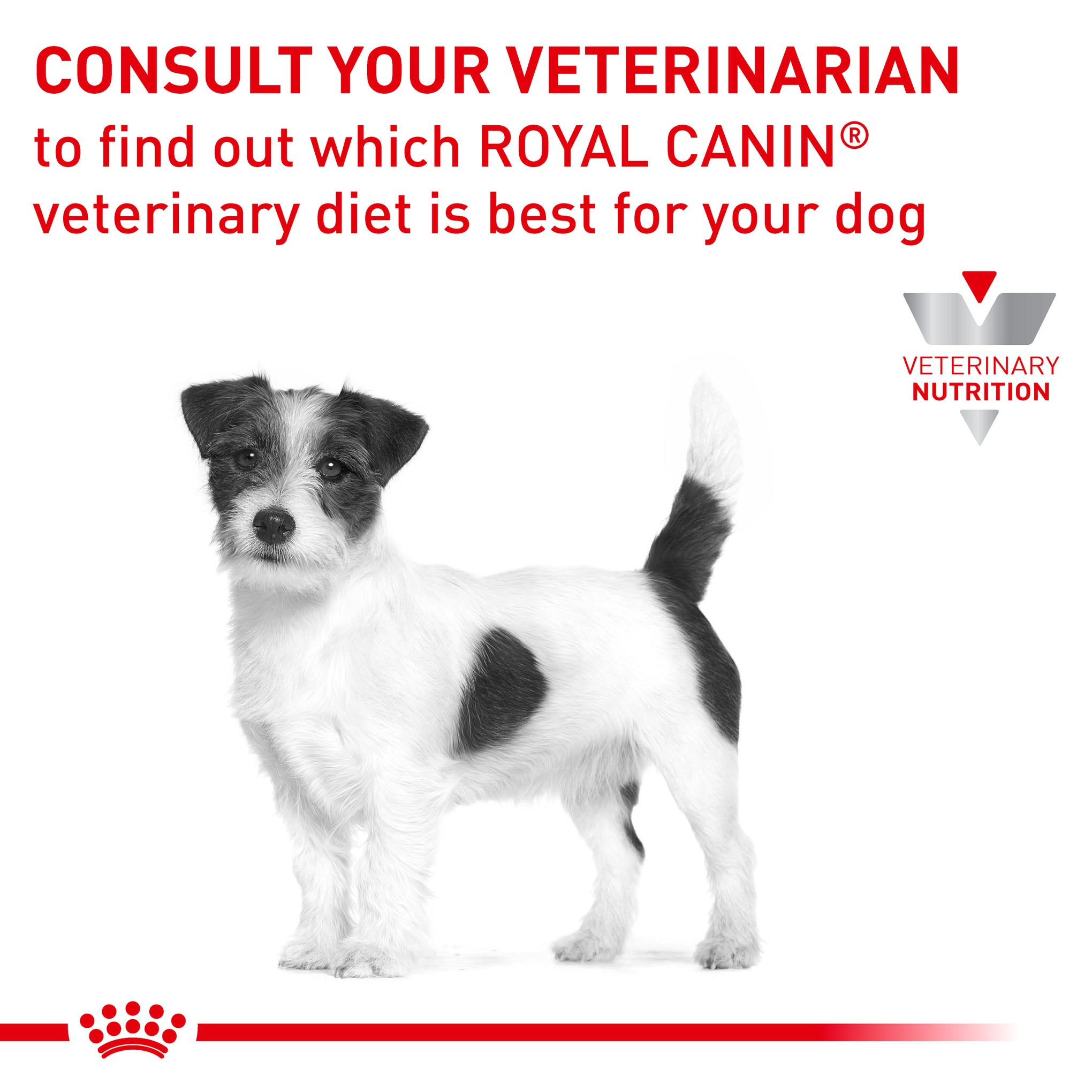 Royal Canin Veterinary Diet Skintopic Adult Dry Small Dog Food 4kg