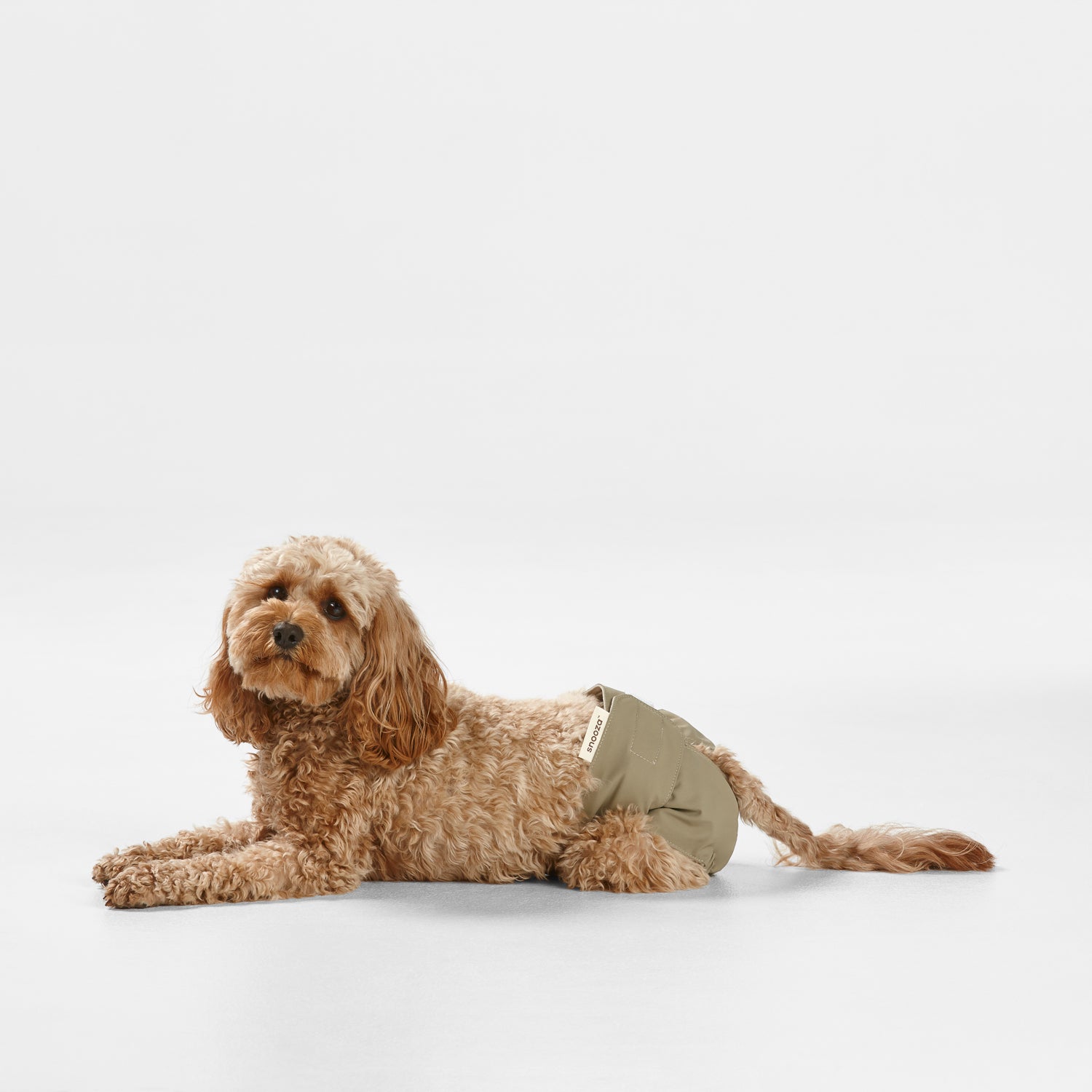 Snooza Washable Nappy Pant for Female Dogs 2 Pack