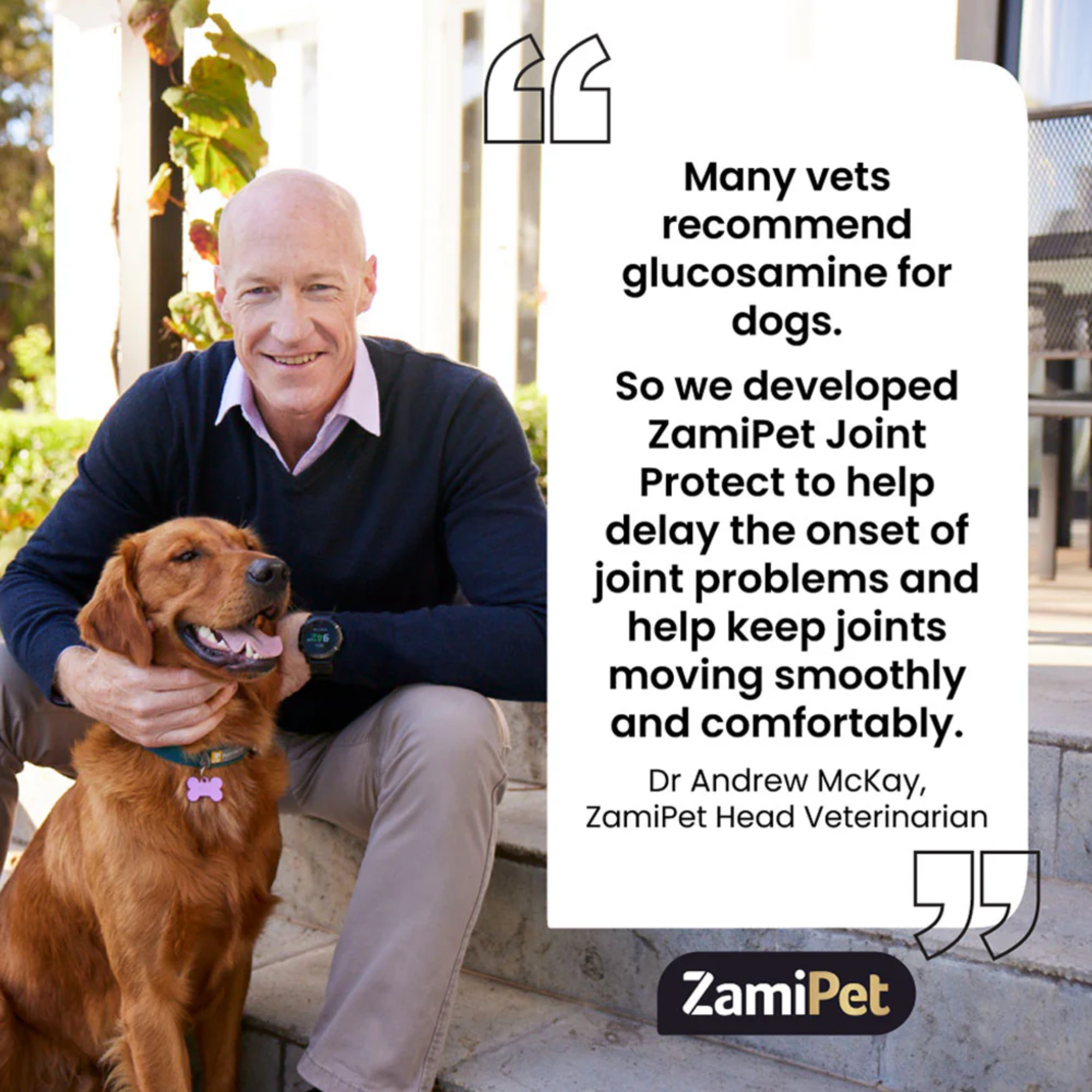 ZamiPet Joint Protect Chews for Dogs