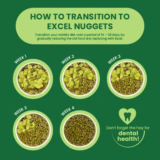 Burgess Excel Adult Mint Rabbit Nuggets