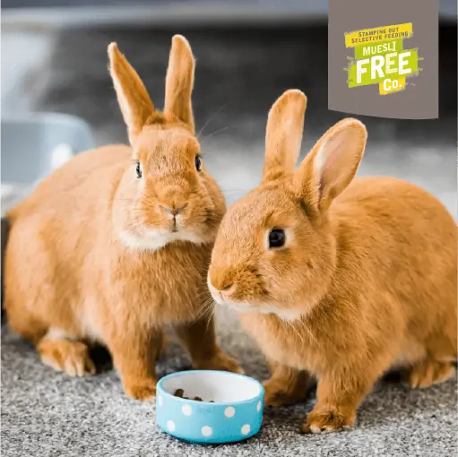 Burgess Excel Indoor Rabbit Pellets