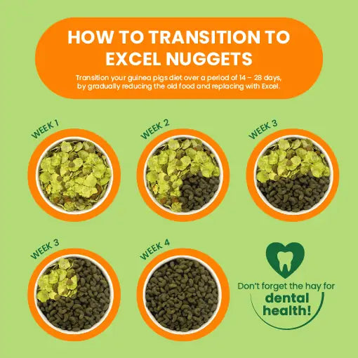 Burgess Excel Adult Mint Guinea Pig Nuggets