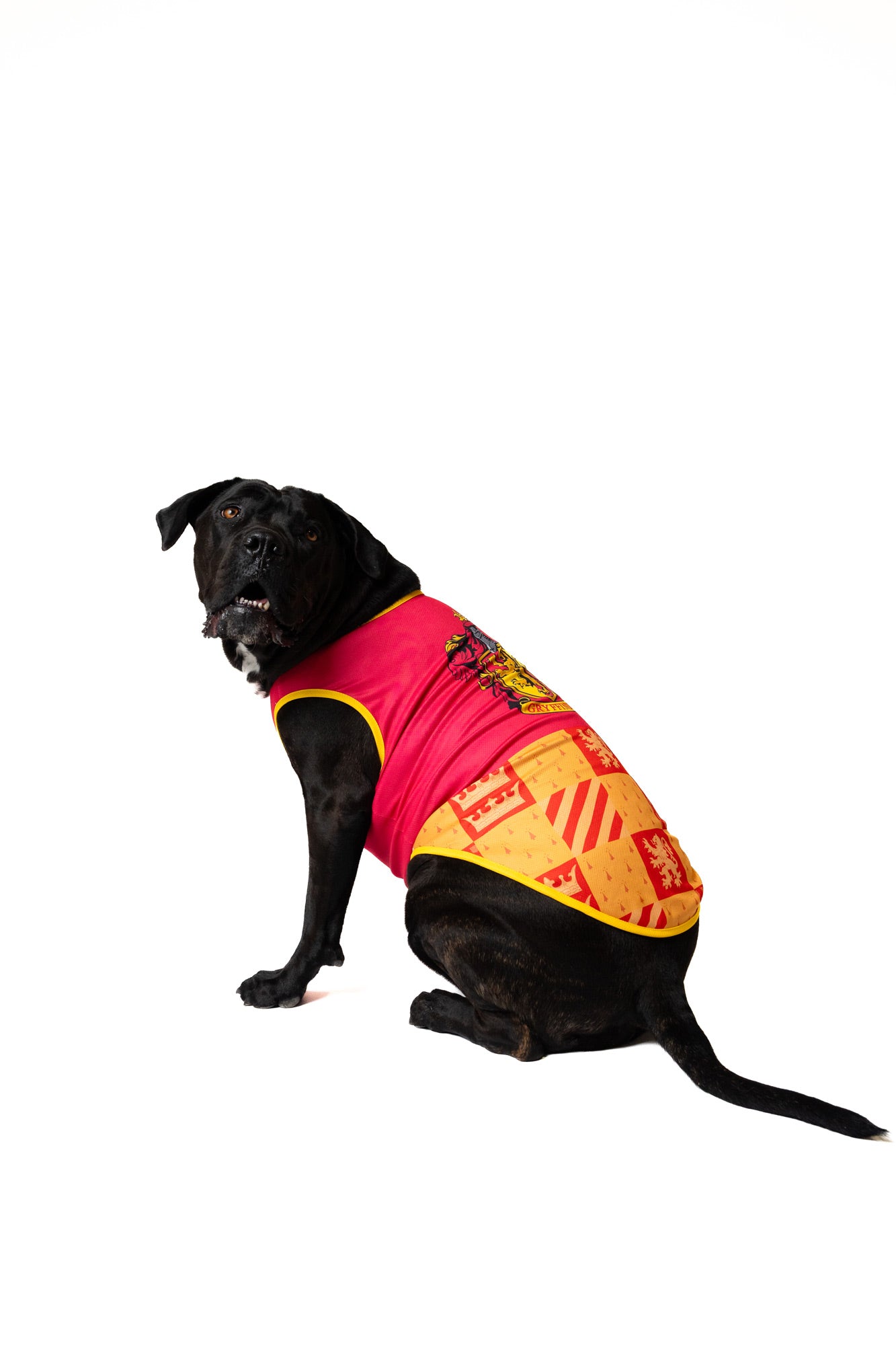 Harry Potter Gryffindor House Dog Shirt