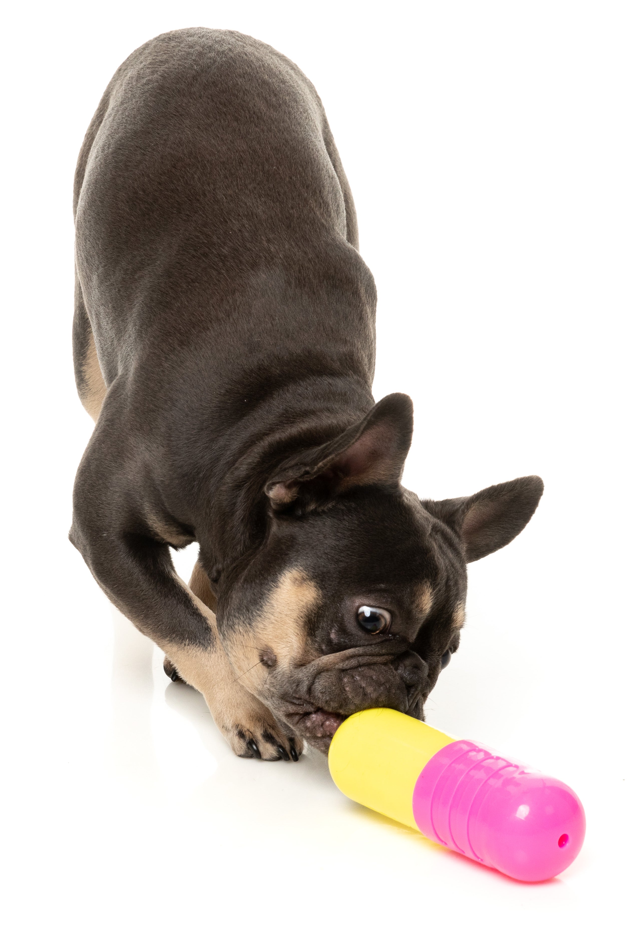 FuzzYard Chill Pill Dog Toy