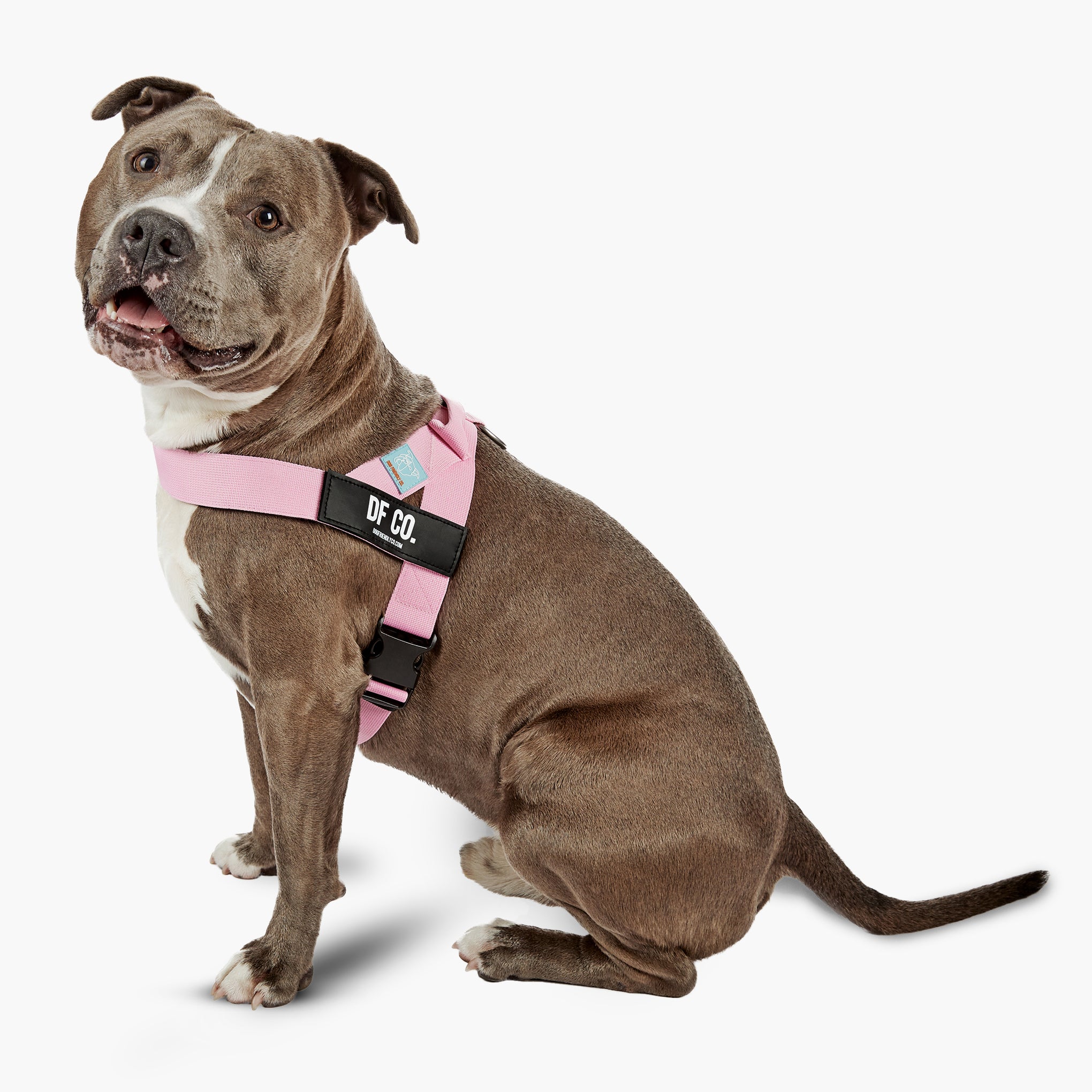 Dog Friendly Co. Dog Harness Pink