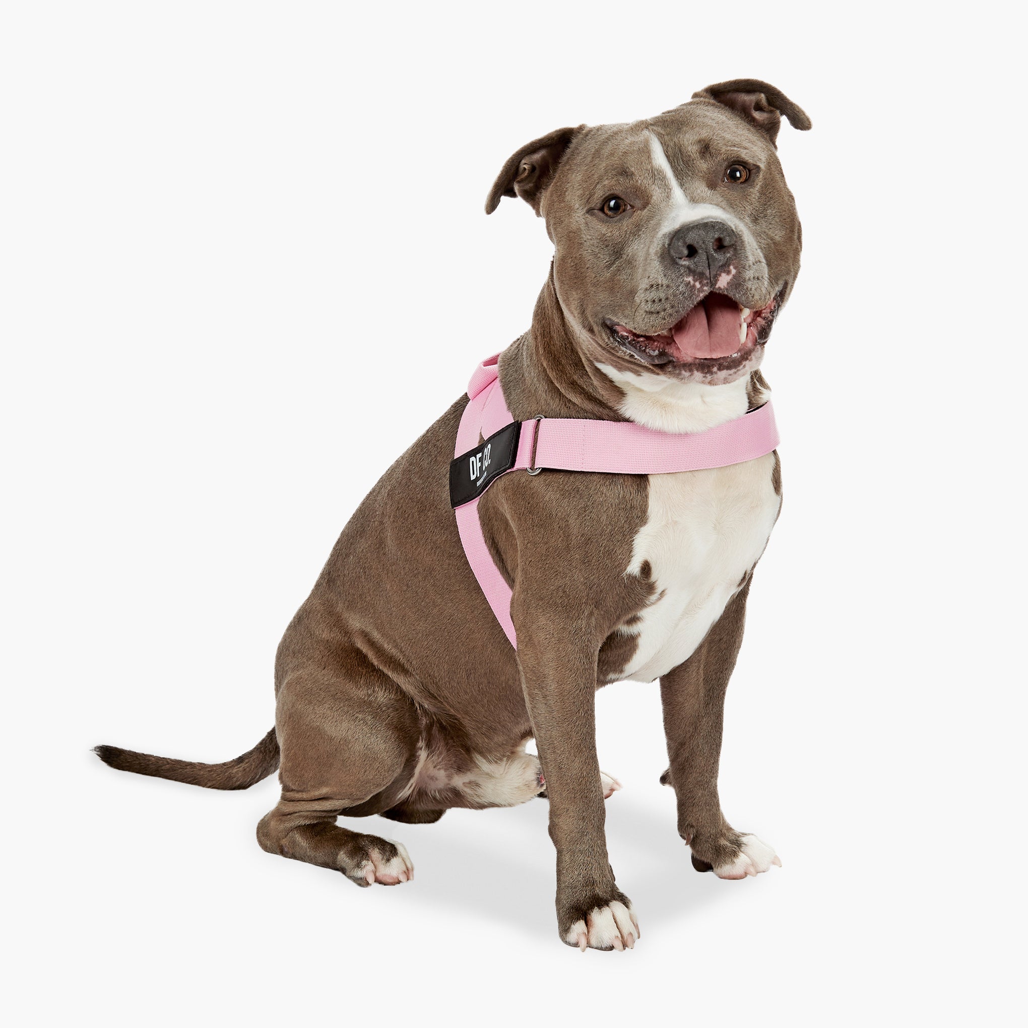 Dog Friendly Co. Dog Harness Pink