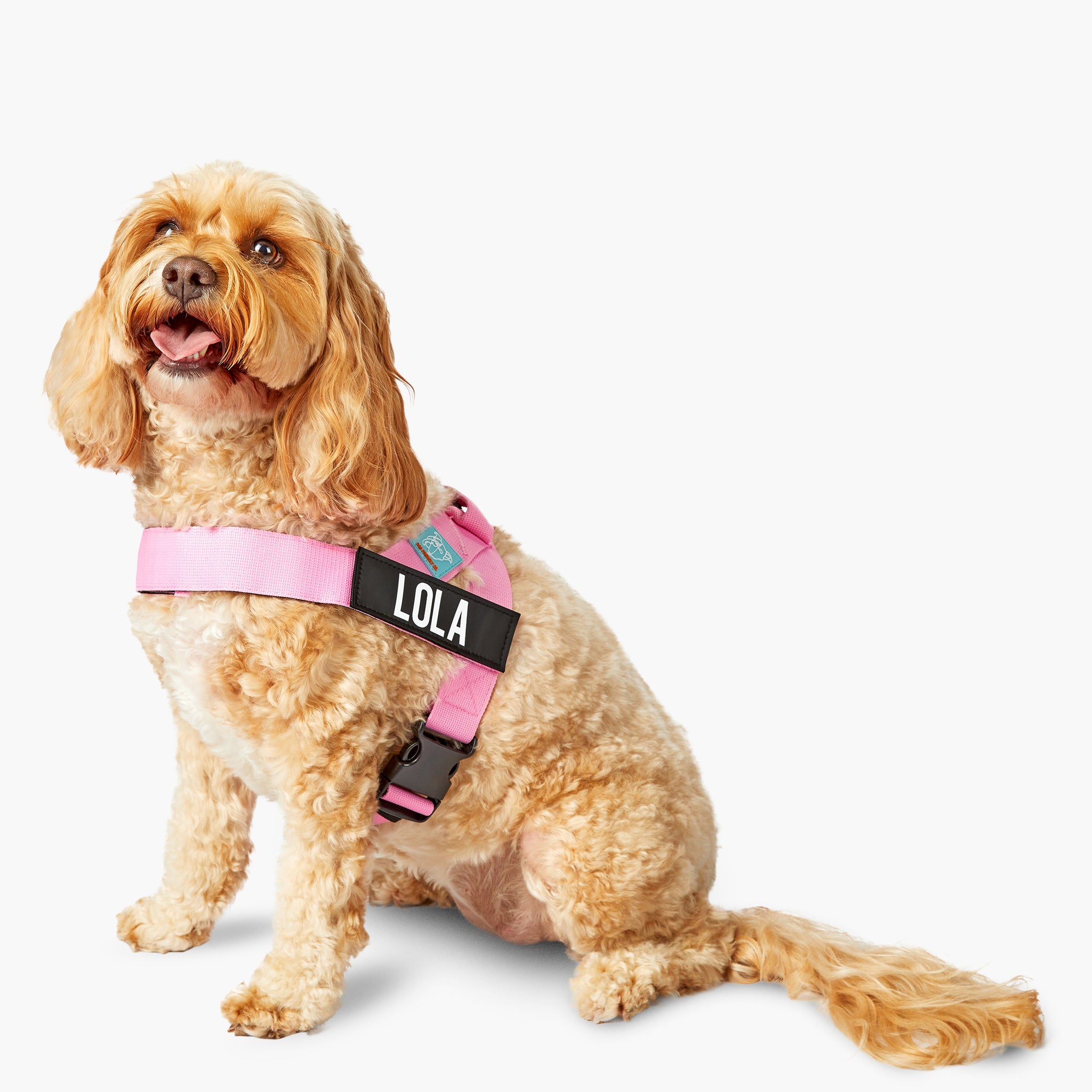 Dog Friendly Co. Dog Harness Pink