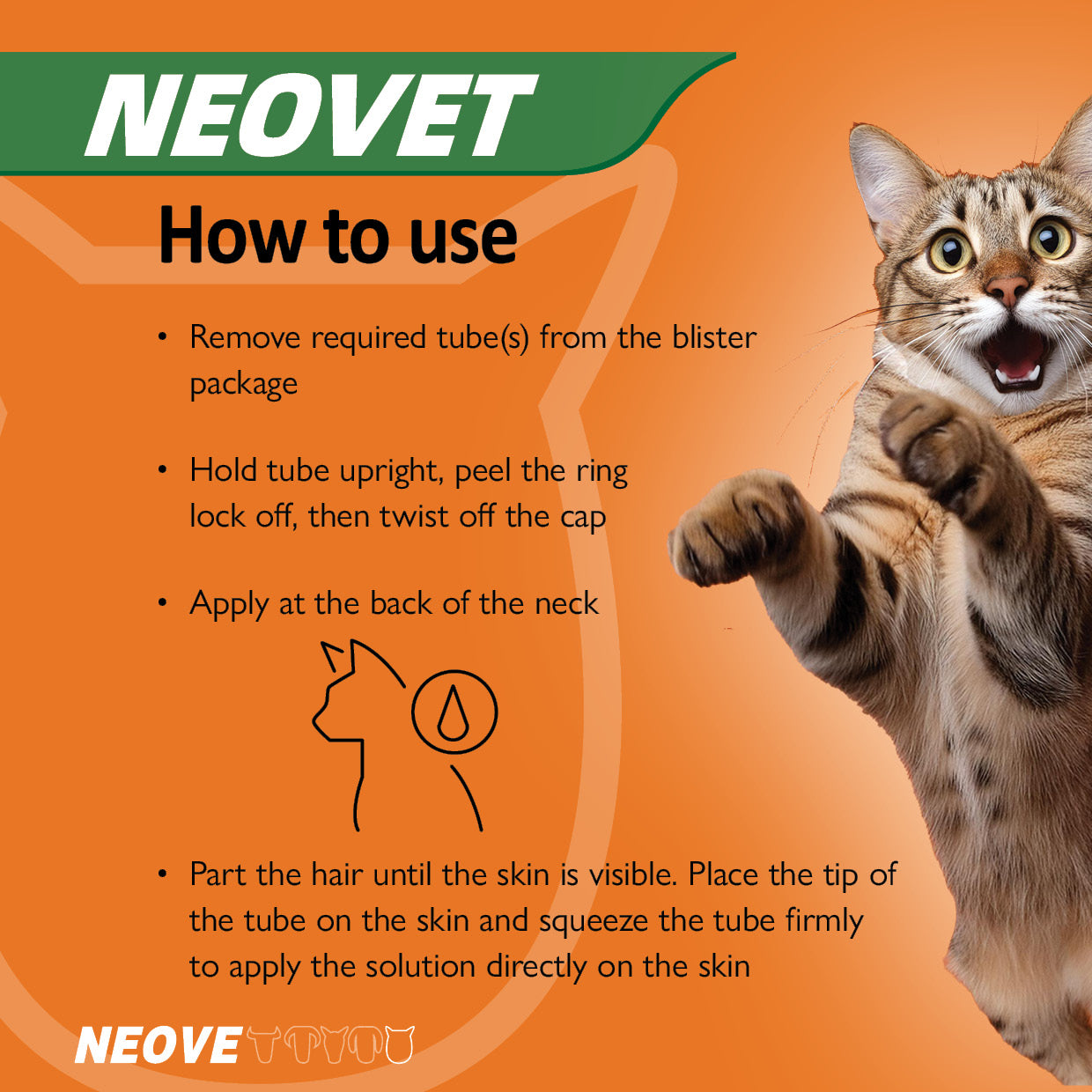 Neovet for Kittens and Small Cats Up To 4kg