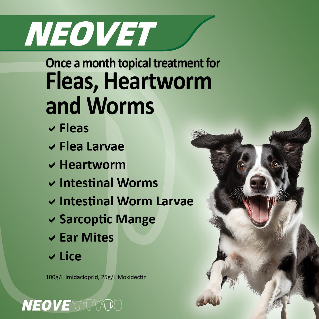Neovet For Dogs Over 25kg