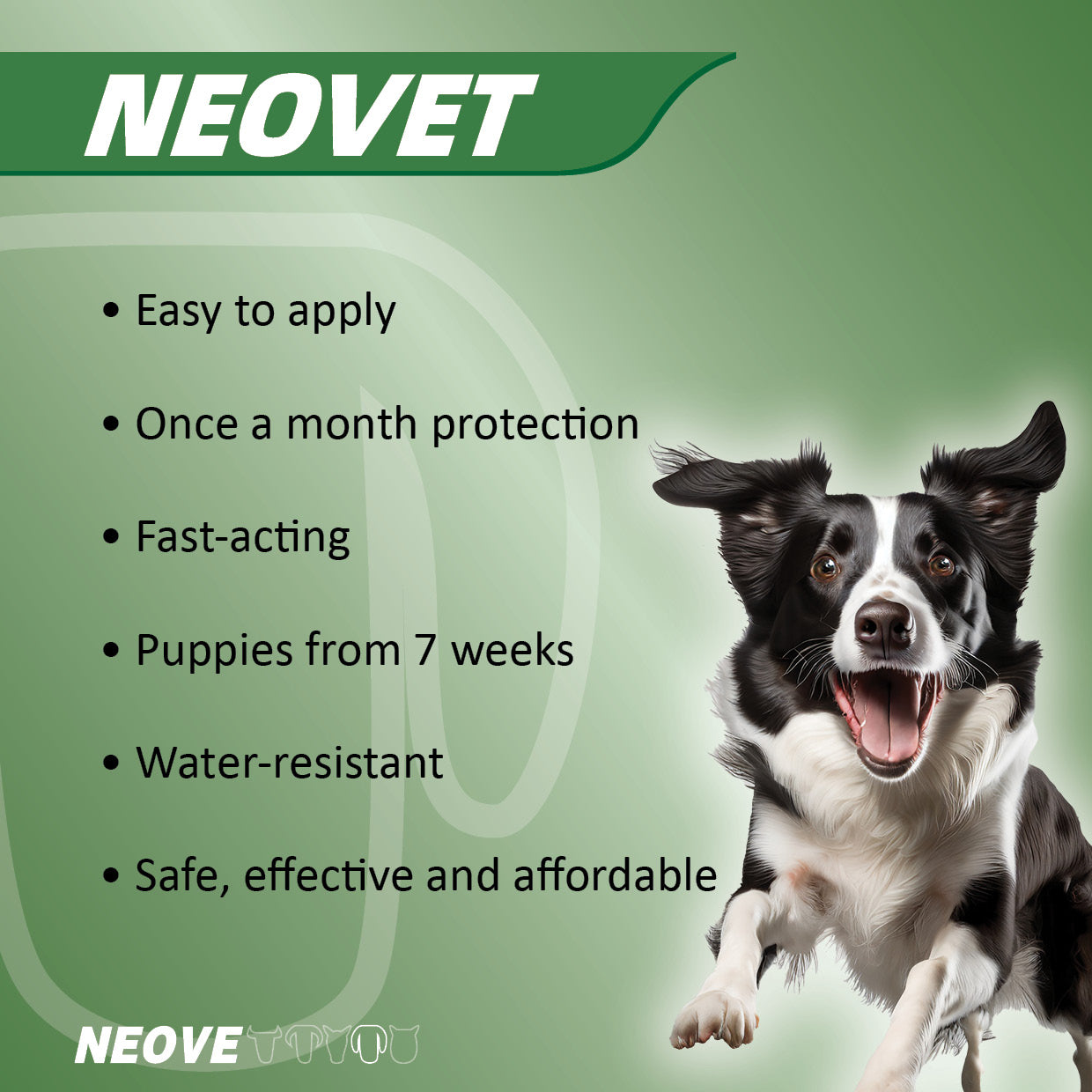 Neovet For Dogs Over 25kg