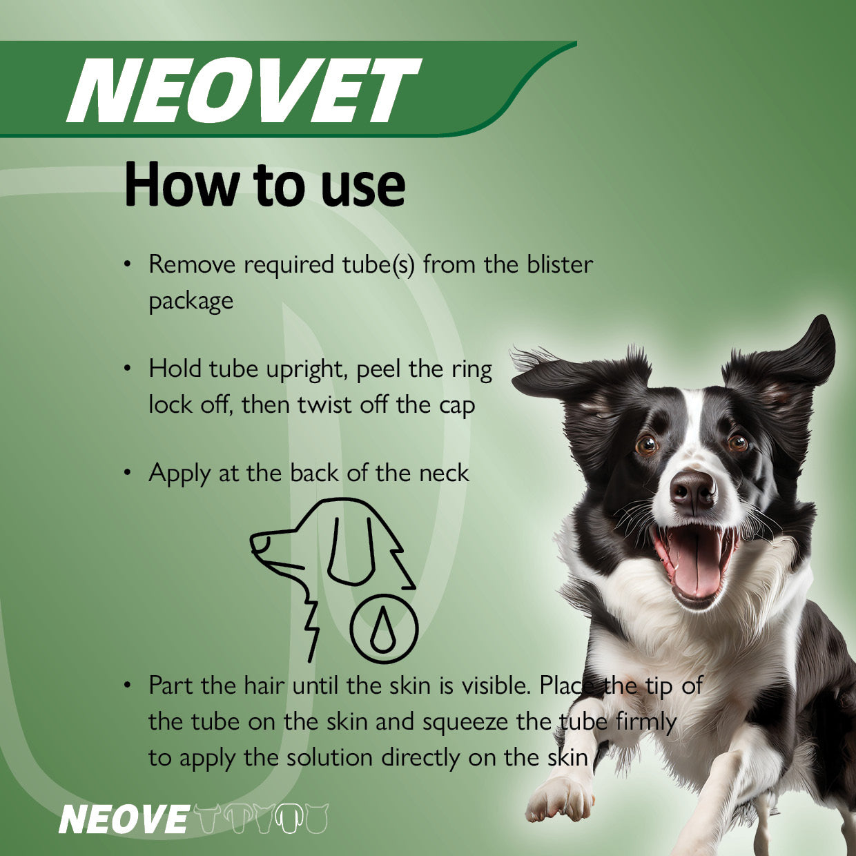 Neovet For Dogs Over 25kg