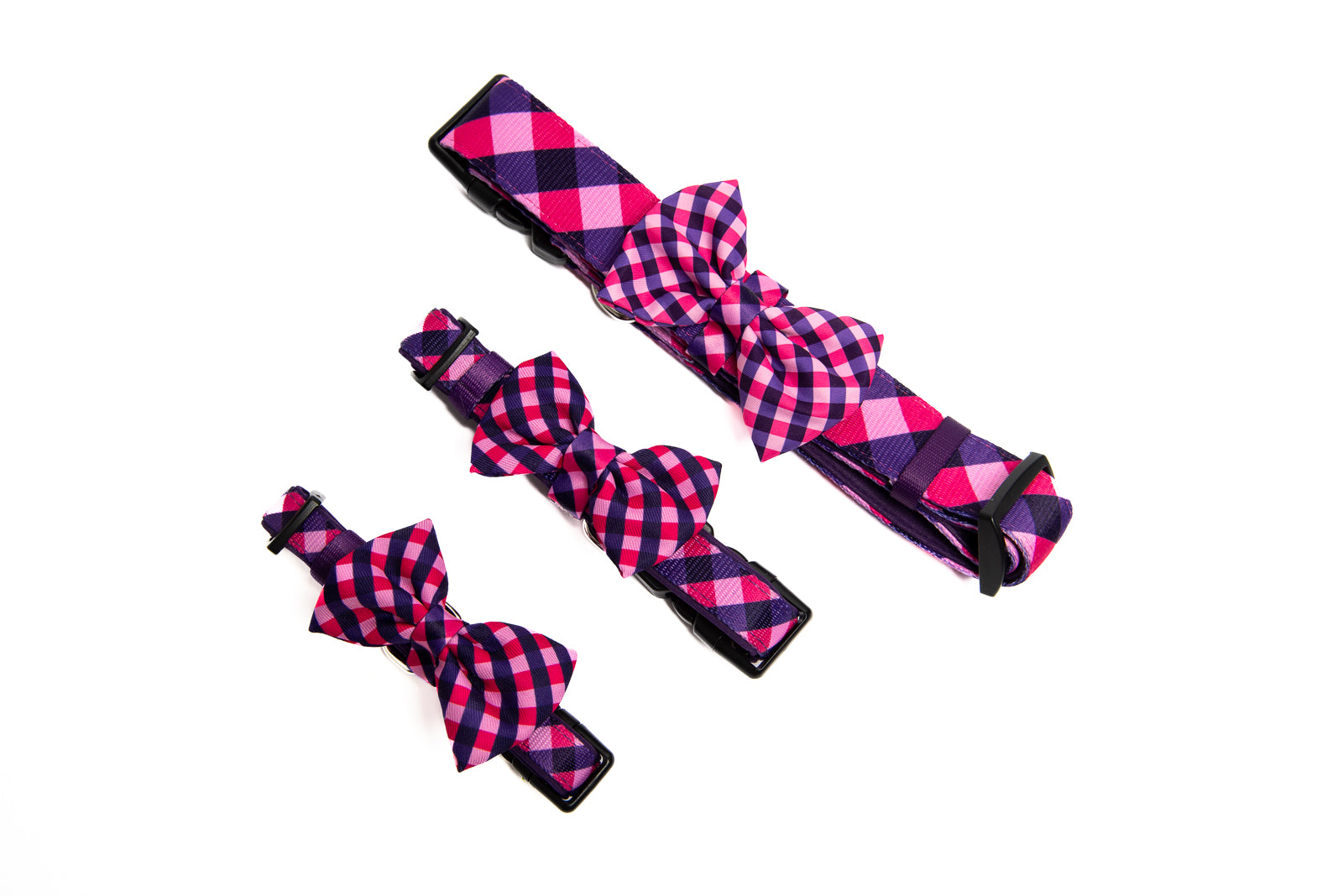 Soapy Moose Fashionista Dog Collar