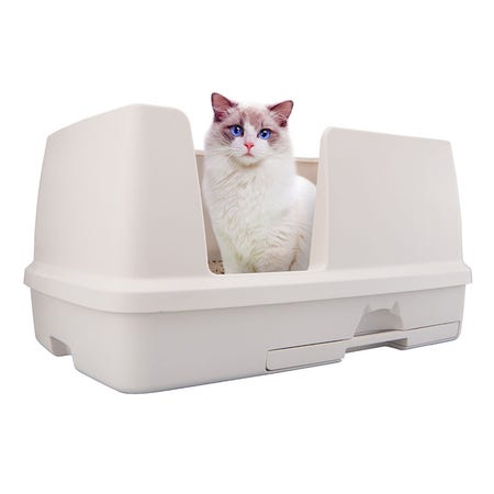 Xl cat litter tray hot sale