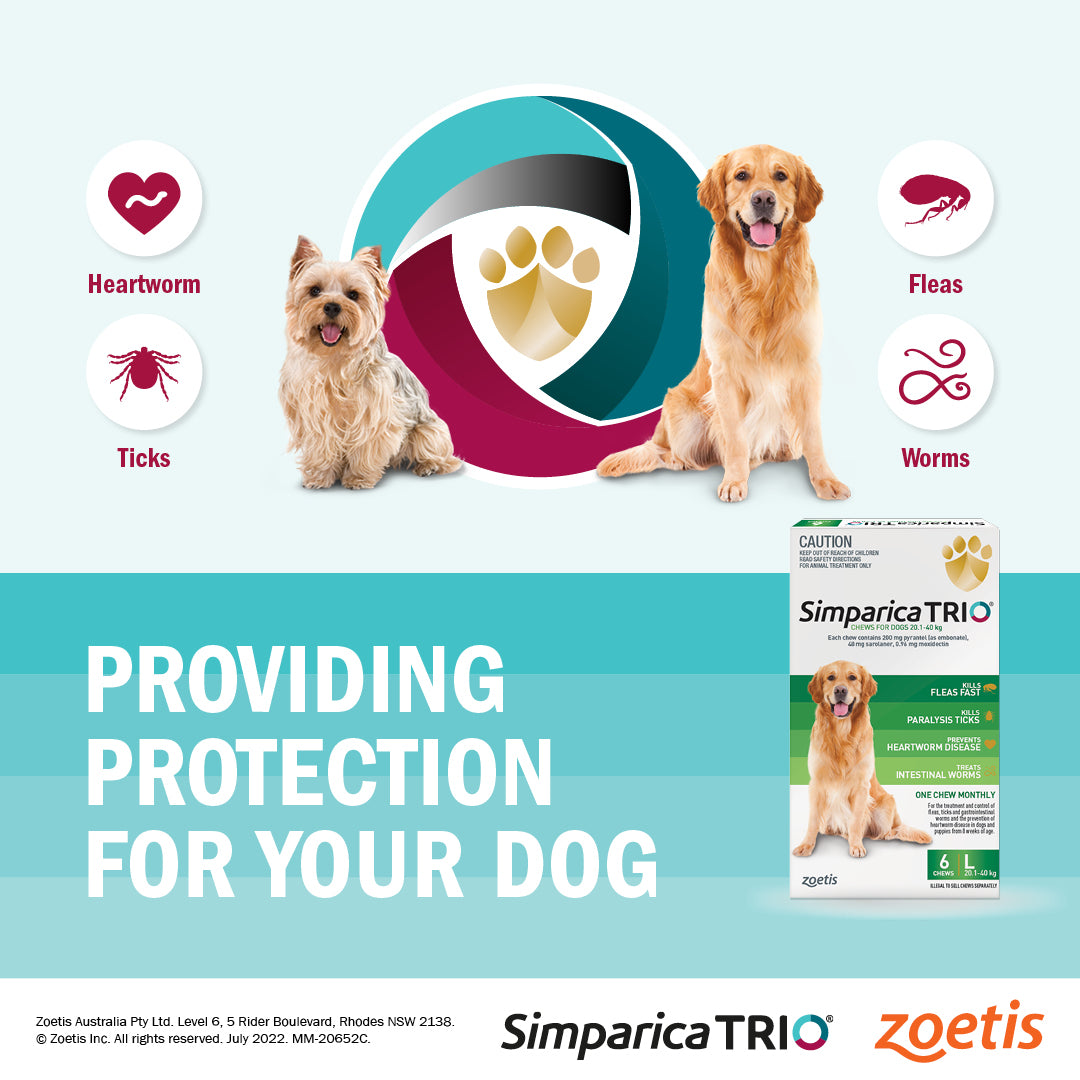 Simparica Trio Medium Dog Chews 10.1-20kg