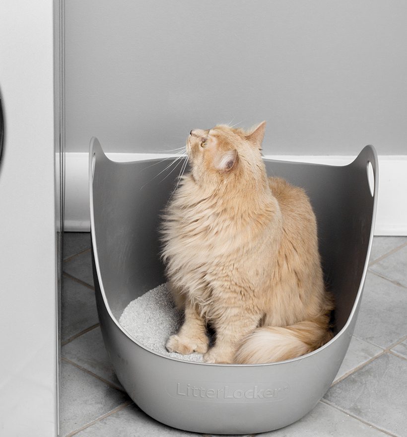 LitterLocker Cat Litter Box With Scoop Grey
