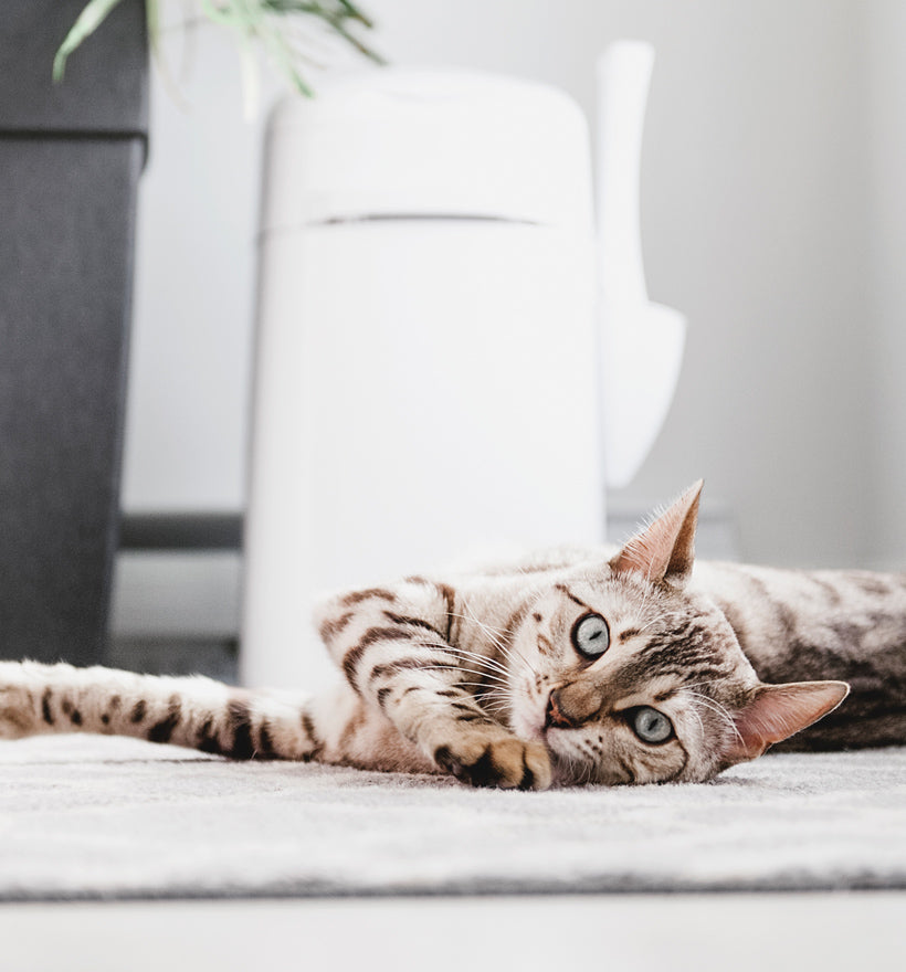 LitterLocker Cat Litter Disposal System White