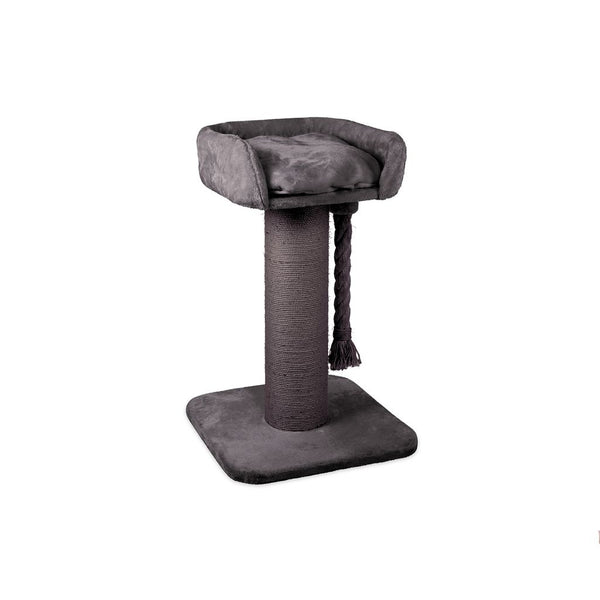 Kazoo High Bed Cat Scratch Charcoal