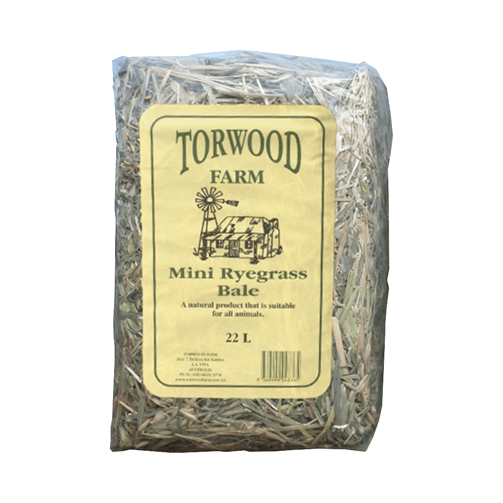 Torwood Farm Mini Rye Grass Bale 22L