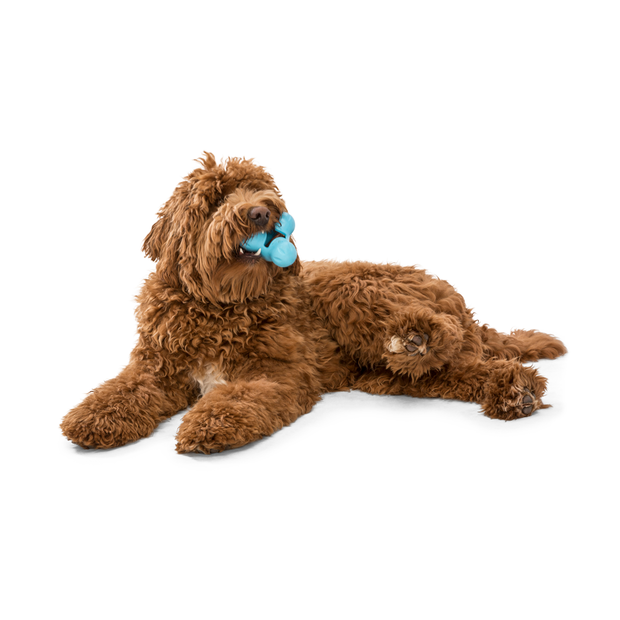 West Paw Tux Treat Dispenser Dog Toy Blue